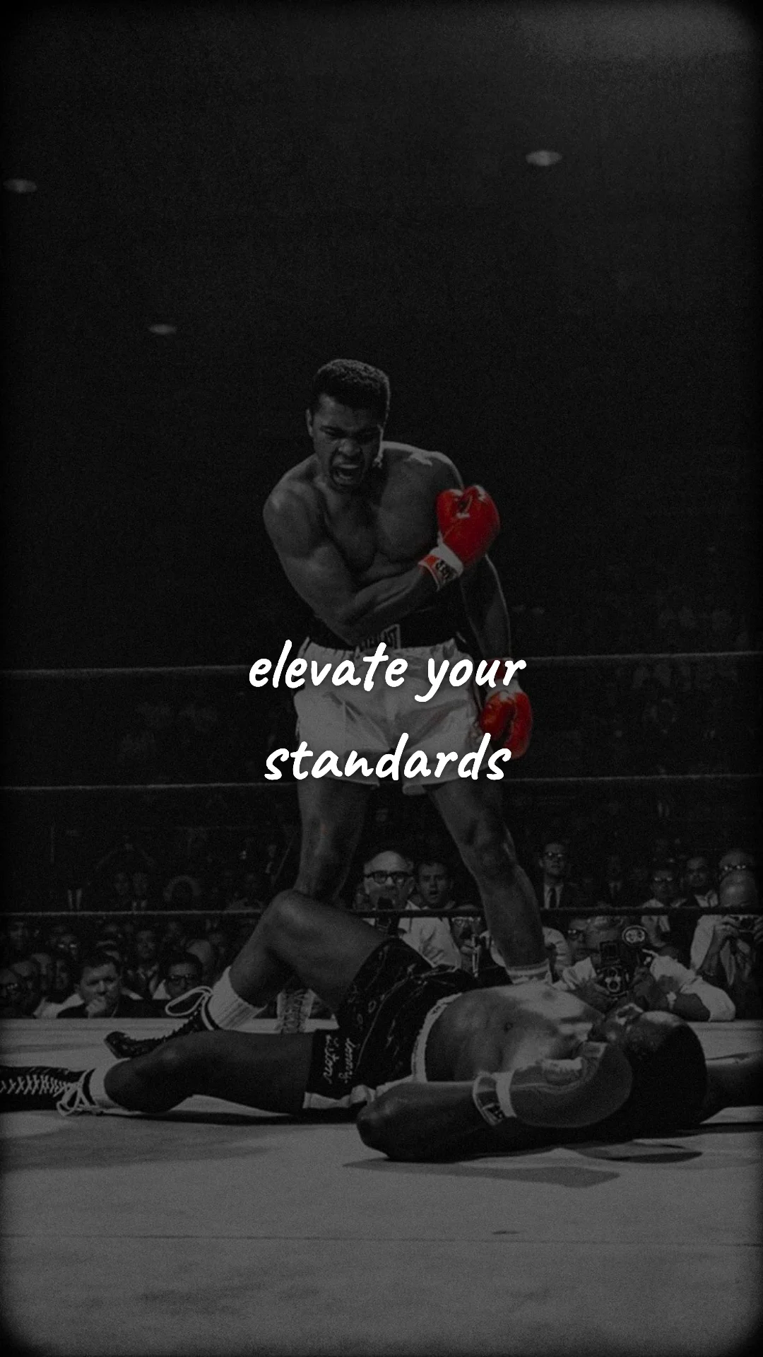 Elevate your standards. — discipline & mental toughness wallpaper