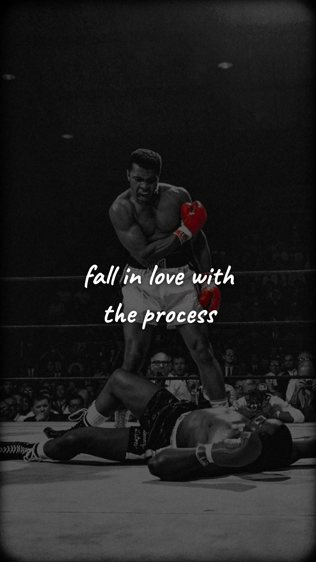 Fall in love with the process. — discipline & mental toughness wallpaper