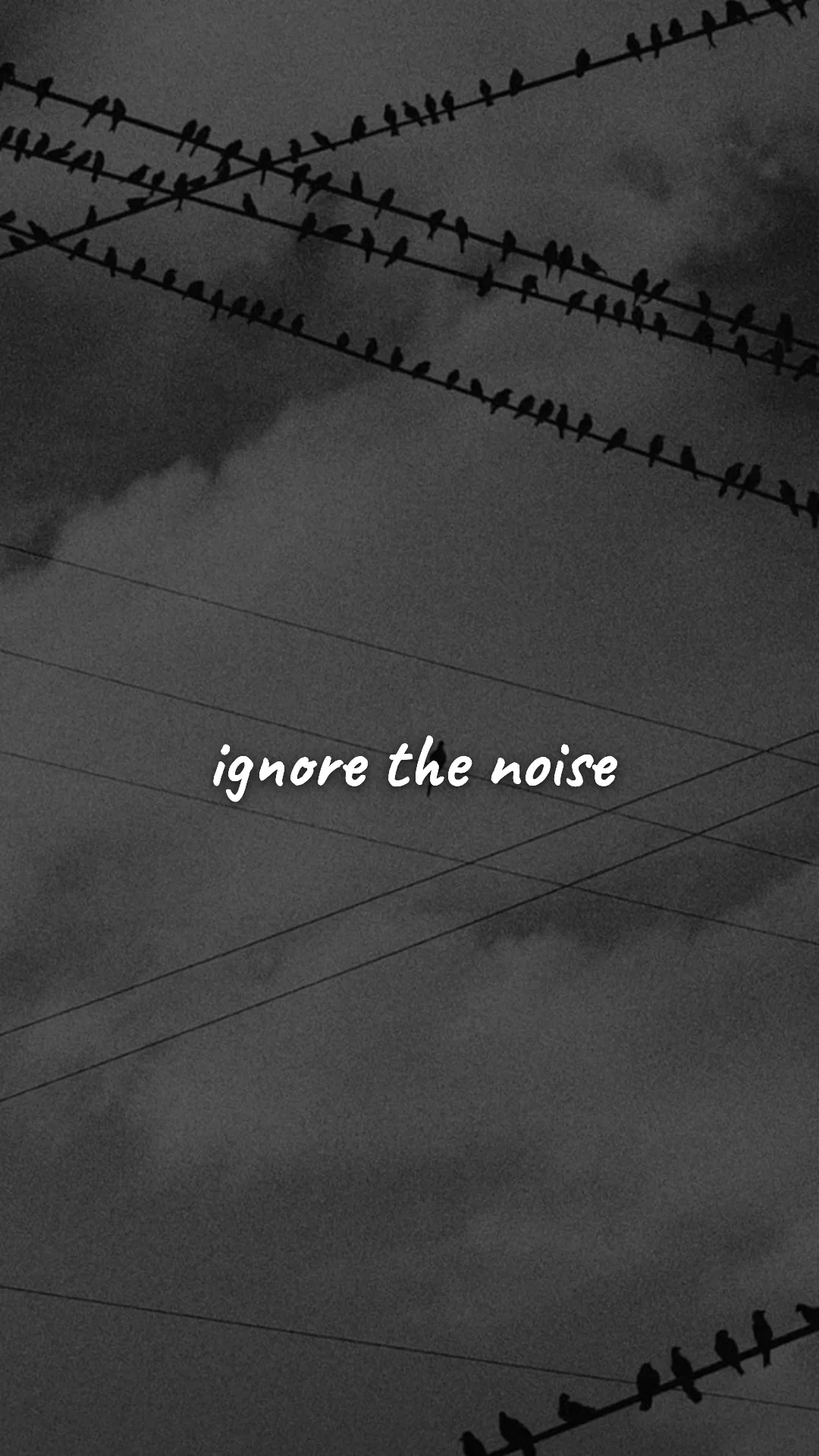 Ignore the noise. — discipline & mental toughness wallpaper