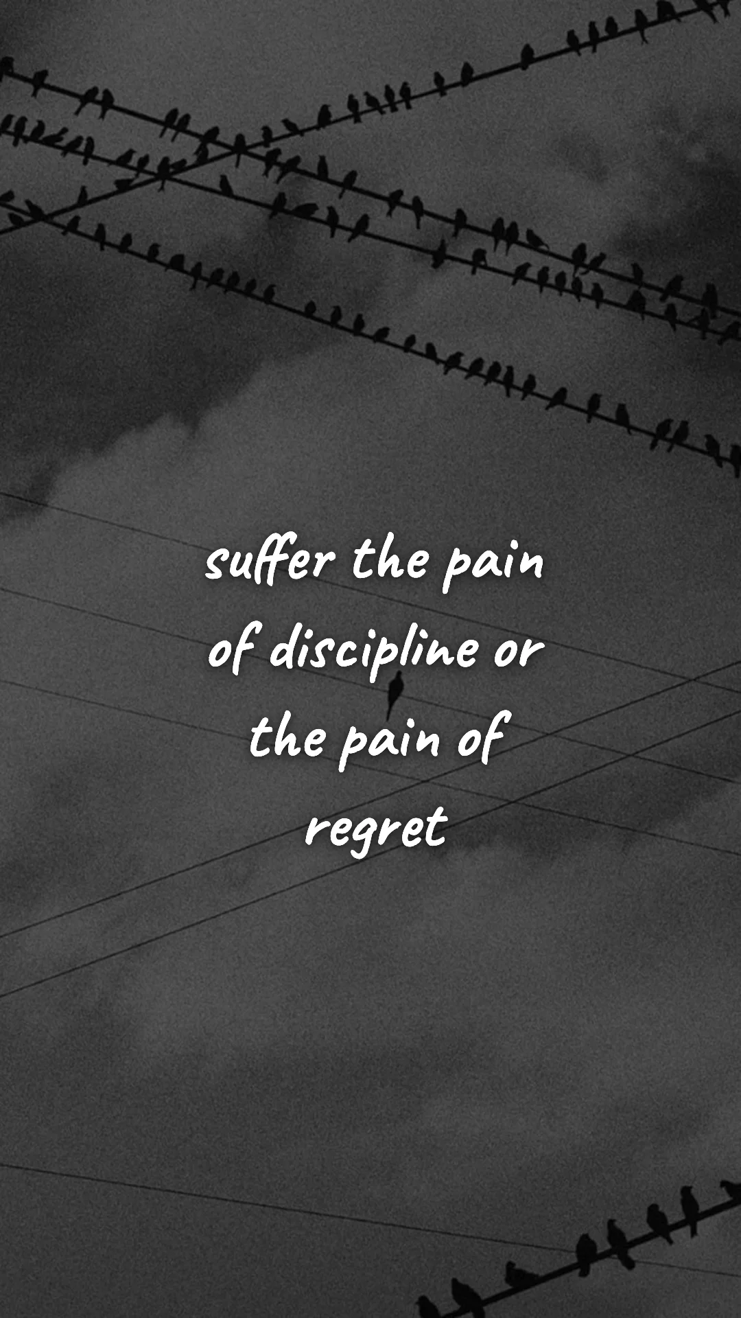 Suffer the pain of discipline or the pain of regret. — discipline & mental toughness wallpaper