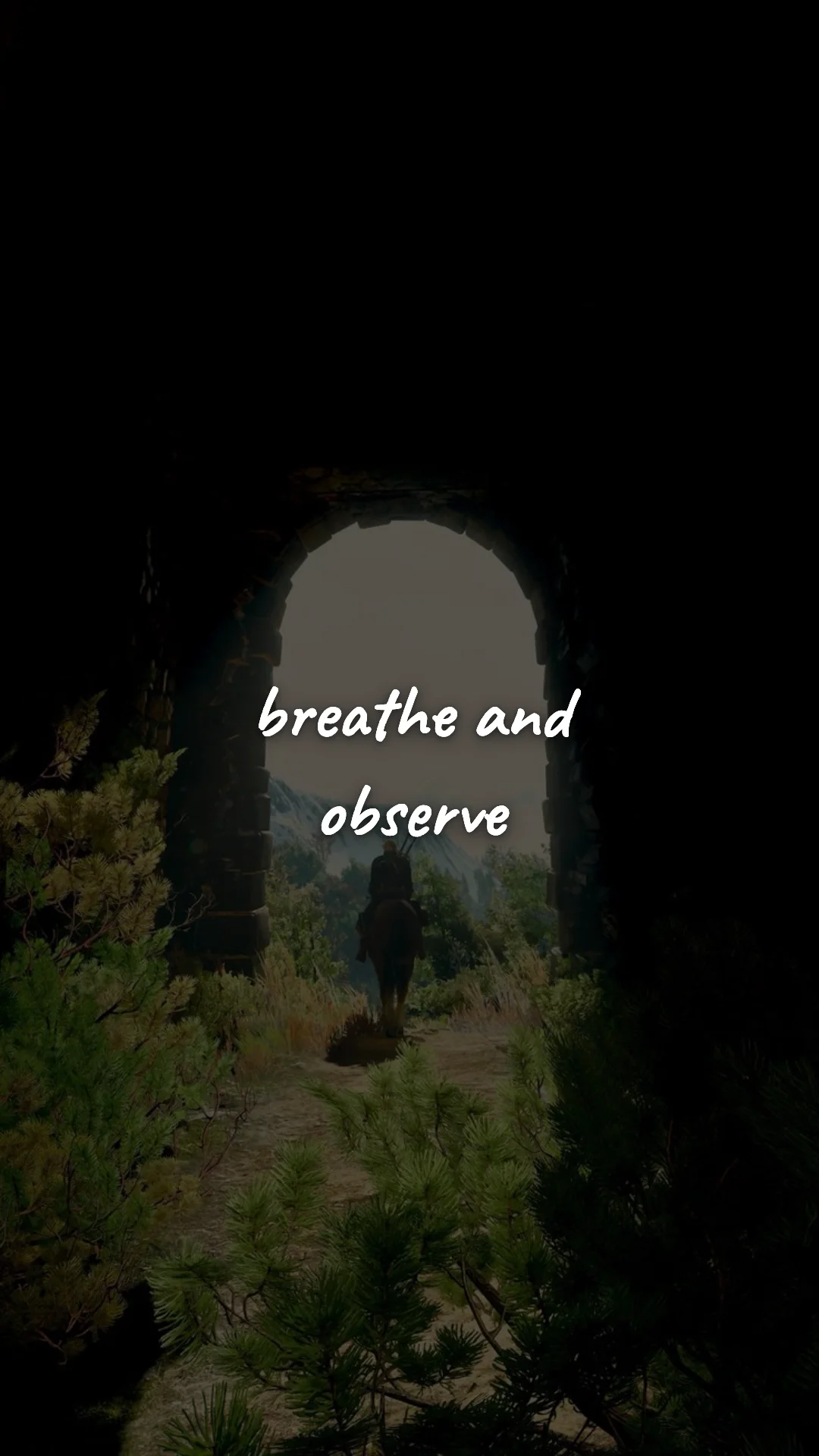 Breathe and observe. — stoic philosophy & daily wisdom wallpaper