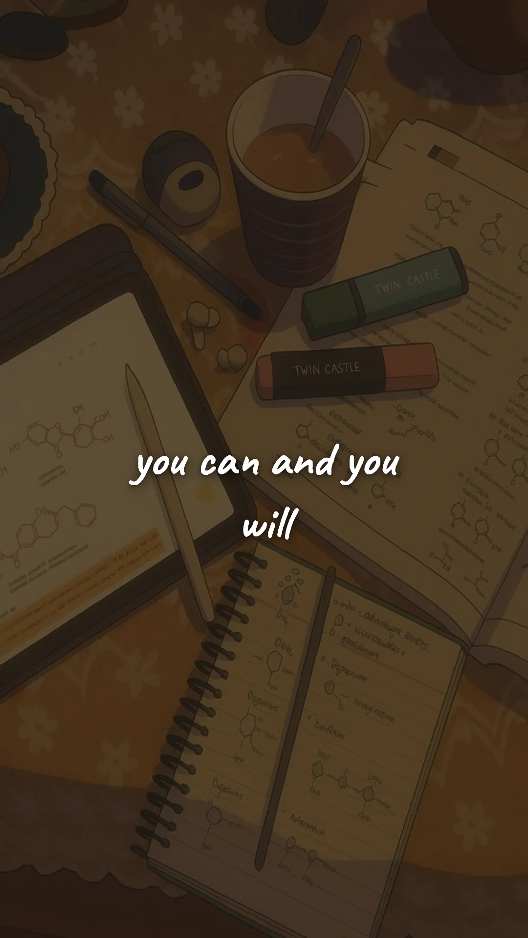 You can and you will. — study & student motivation wallpaper